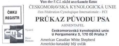 N�hled - Doklad o p�vodu psa BIG BOY Rychl� st�n