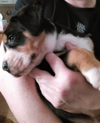 Athos