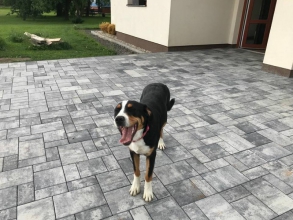 7 měsíců - Bella