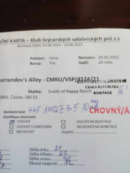 chovná