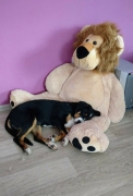 Beata v novém domově