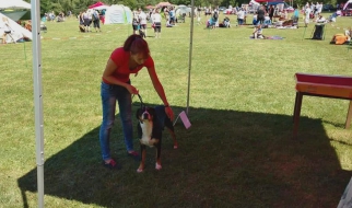 Beata