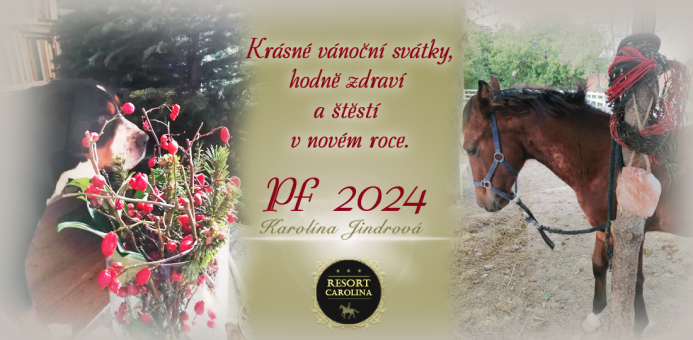 PF 2024