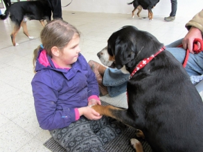 máme koníka