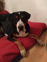 Athos