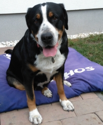 Betynka