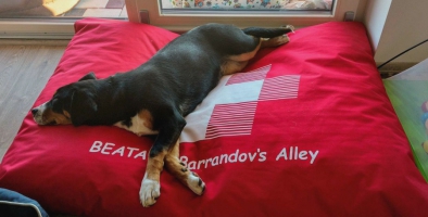 domácí pohodička