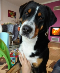 Beata - 1 rok