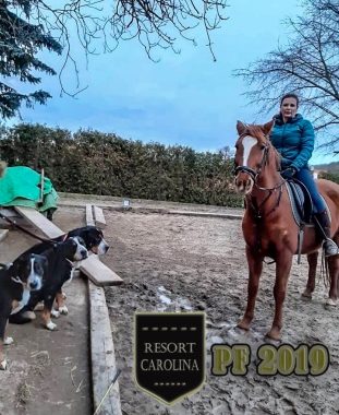 PF 2019