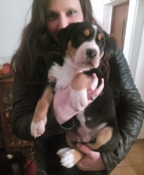 Athos