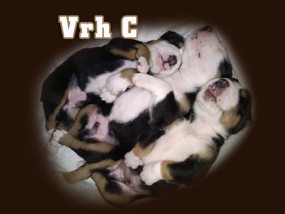 vrh_c